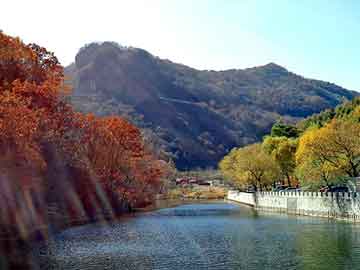 管家婆黑白马报图库，挖掘鸡